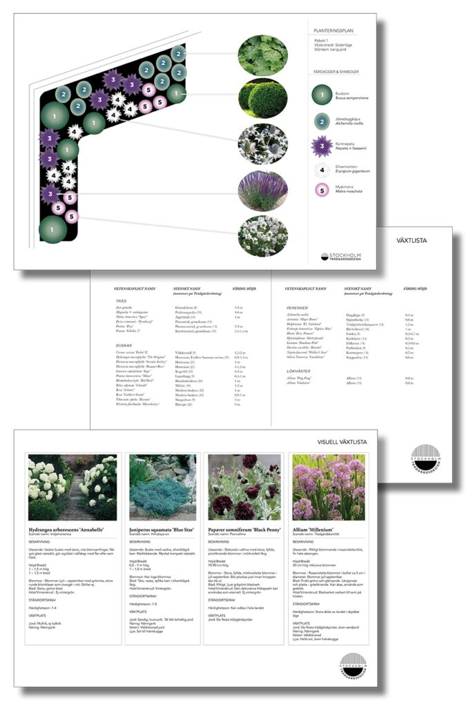 Planteringsplan-med-växtkomposition
