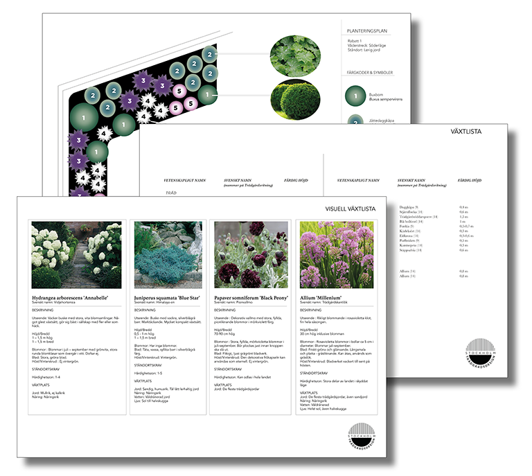 Planteringsplan-växtlista